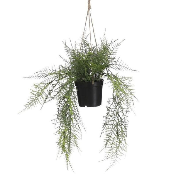 Varen hangend in pot groen - l43xd30cm