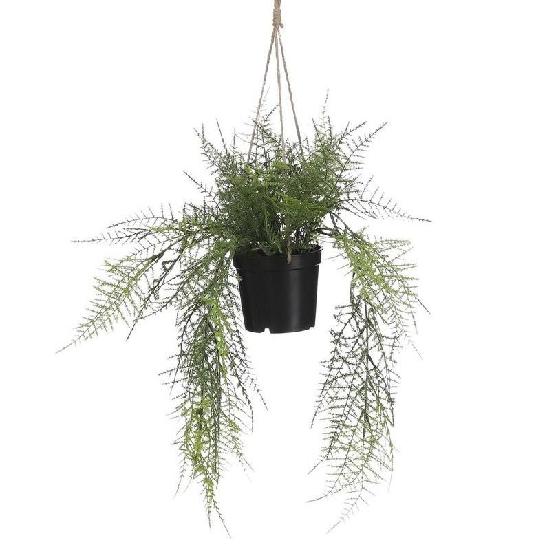 Varen hangend in pot groen - l43xd30cm