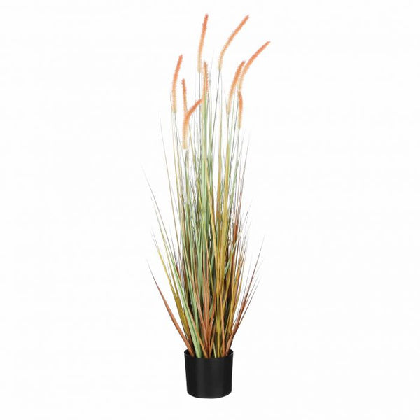 Kattenstaart gras in pot l.bruin - h115xd35cm