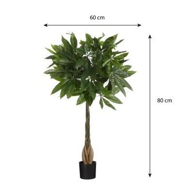 Pachira in pot groen - h80xd60cm