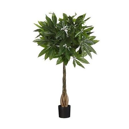 Pachira in pot groen - h80xd60cm