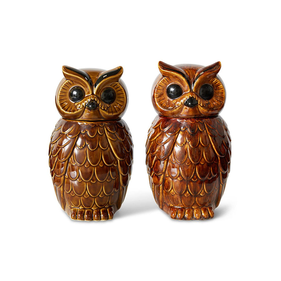 Ceramic owl jar roasted