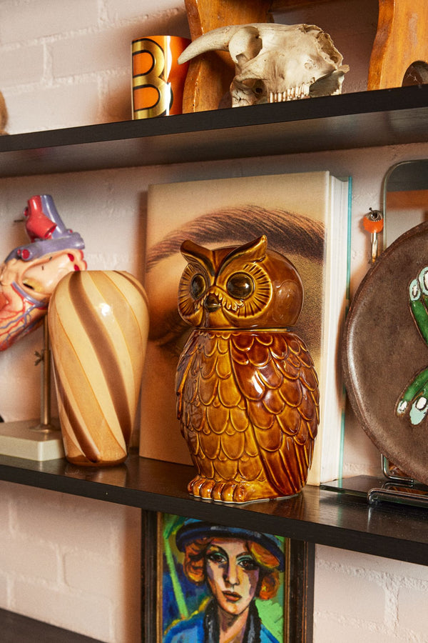 Ceramic owl jar roasted