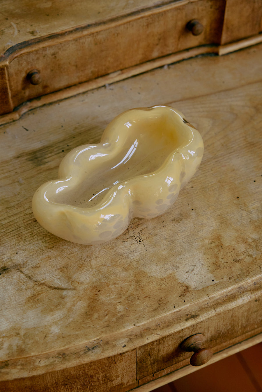 Schaal oyster
