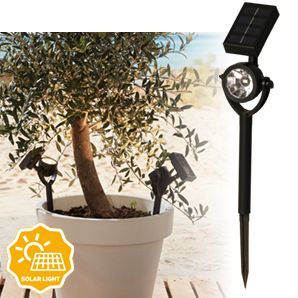 Solar spotlight zamora 10 lumen