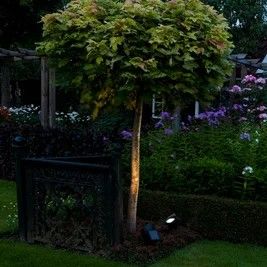 Solar spotlight Lazise 5 Lumen
