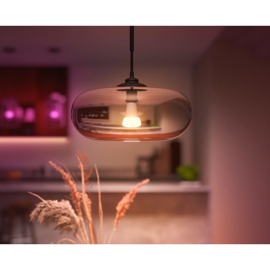 Philips HueWCA 13.5W A67 E27 EUR