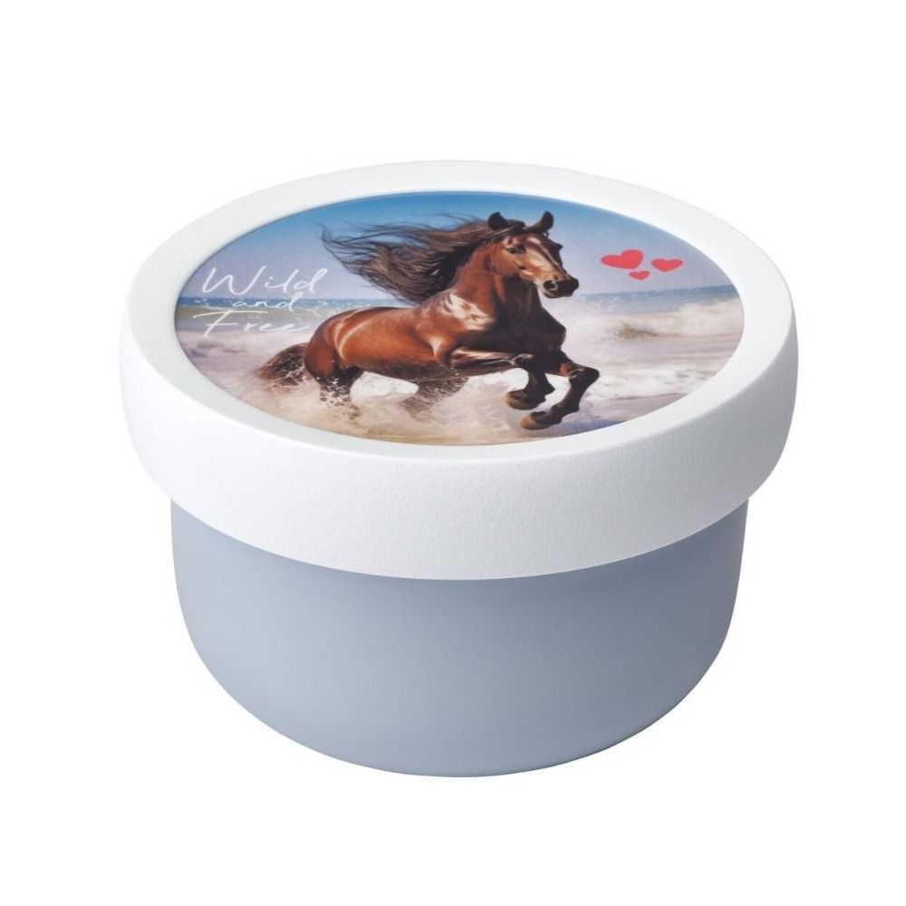Fruitbox Campus 300 Ml - Wild Horse