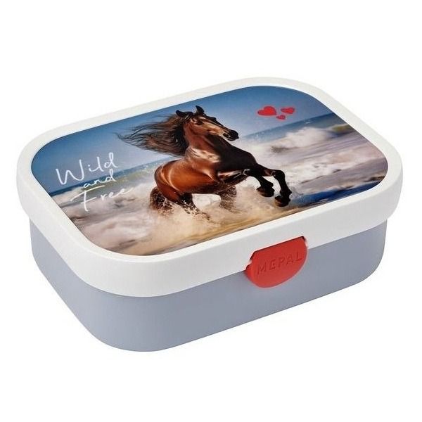 Lunchbox Campus - Wild Horse