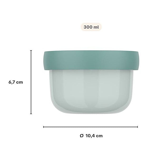 fruitbox campus 300 ml - fairy garden