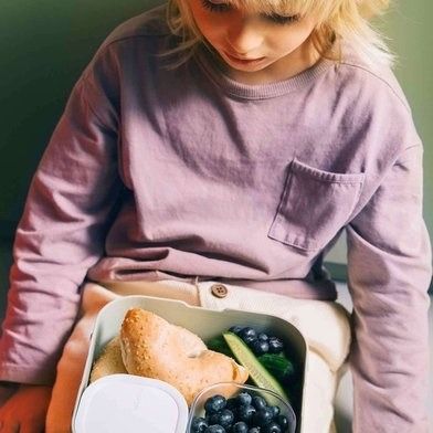 bento lunchbox campus groot - little farm