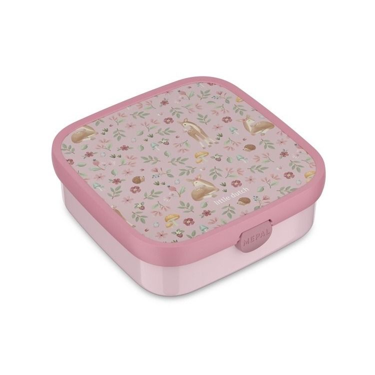 bento lunchbox campus groot - fairy garden