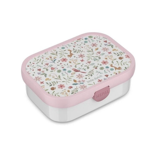 lunchbox campus - fairy wonders