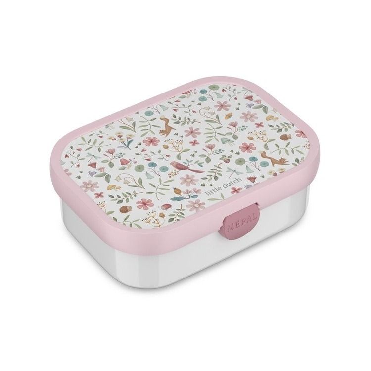 lunchbox campus - fairy wonders