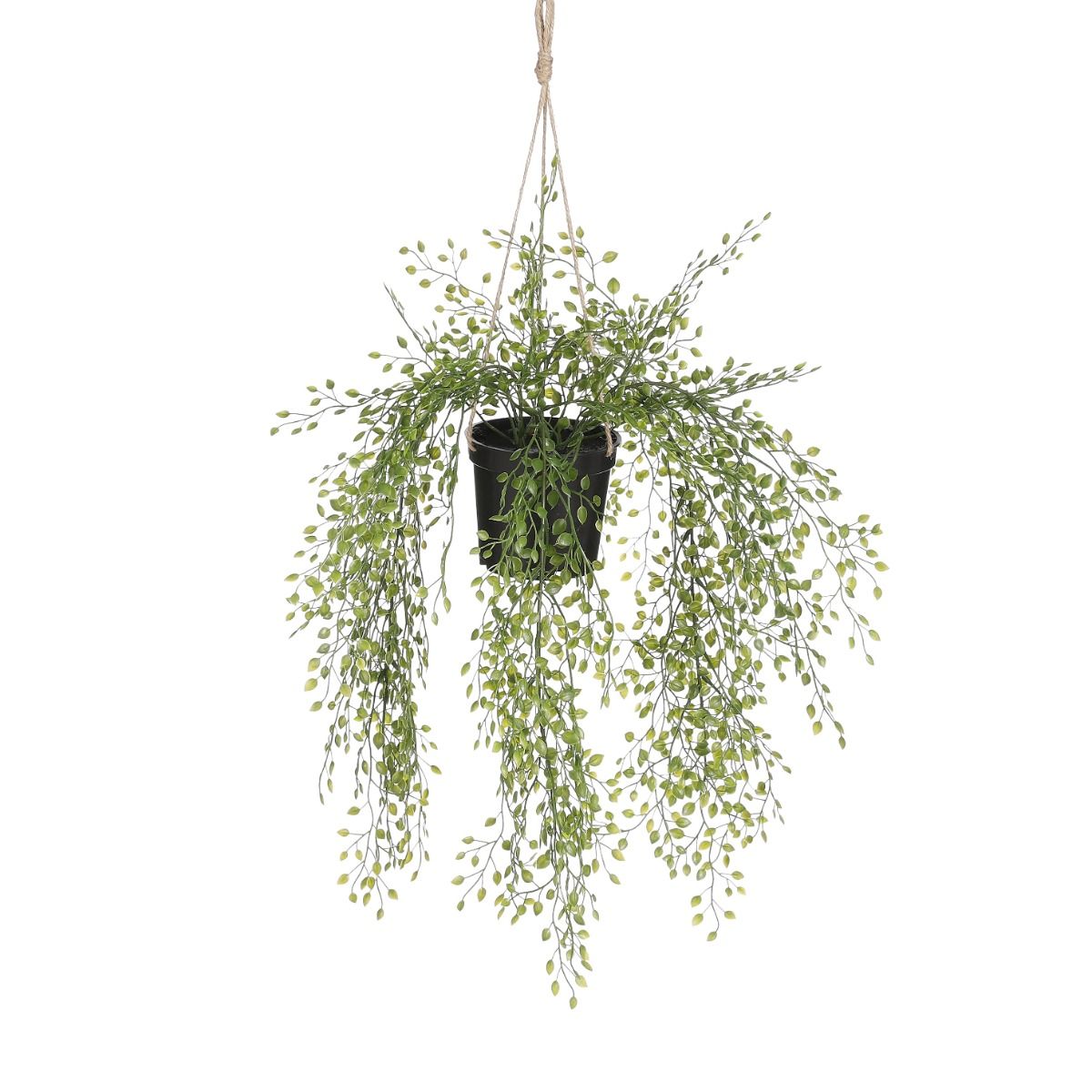 Jasmine hangend in pot groen - l46xd25cm