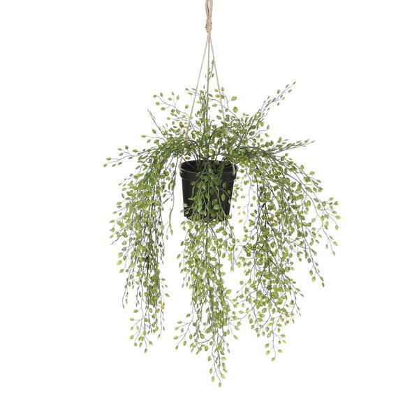 Jasmine hangend in pot groen - l46xd25cm