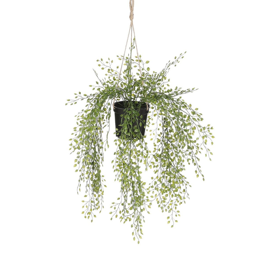 Jasmine hangend in pot groen - l46xd25cm