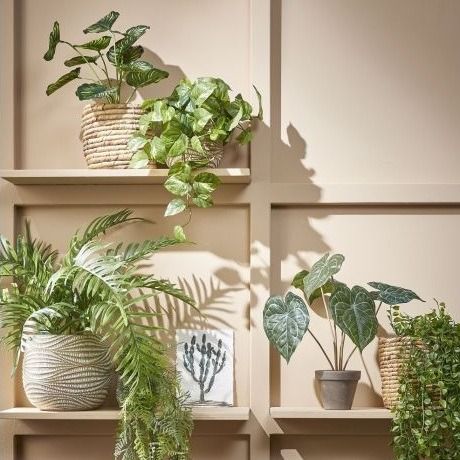 Pothos groen in pot Stan grijs d11,5cm - h44xd17cm