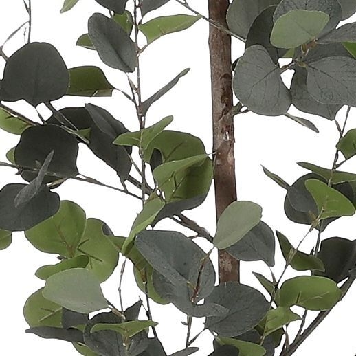 Eucalyptus in pot groen - h150xd30cm