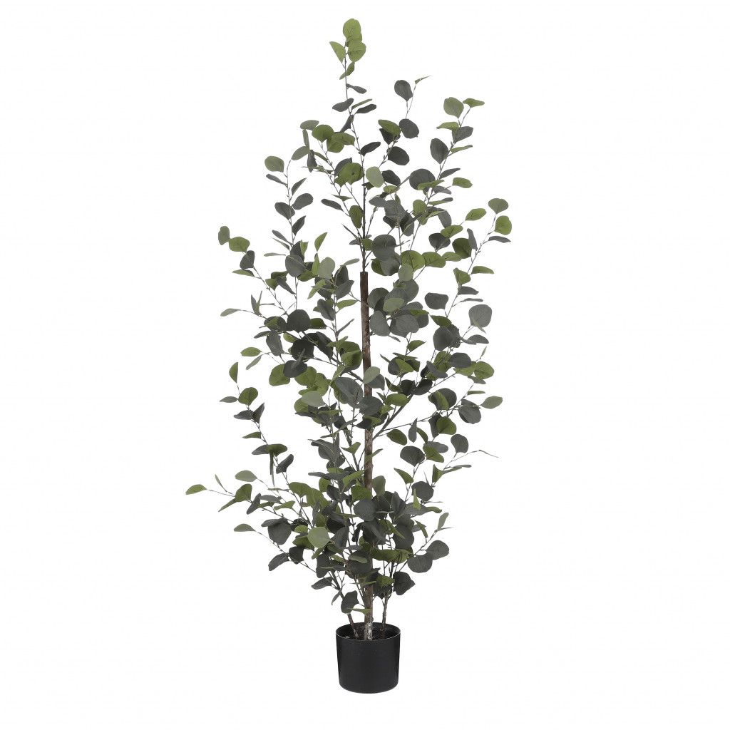 Eucalyptus in pot groen - h150xd30cm