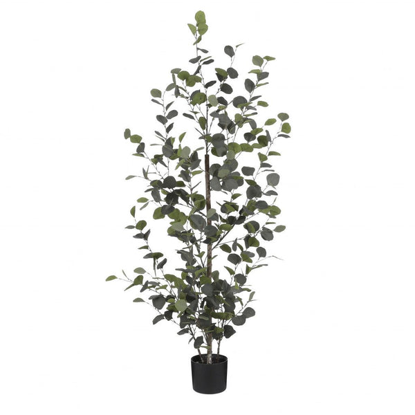 Eucalyptus in pot groen - h150xd30cm