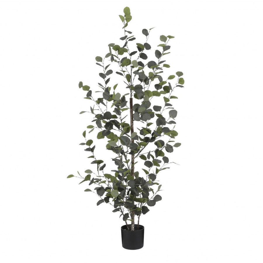 Eucalyptus in pot groen - h150xd30cm