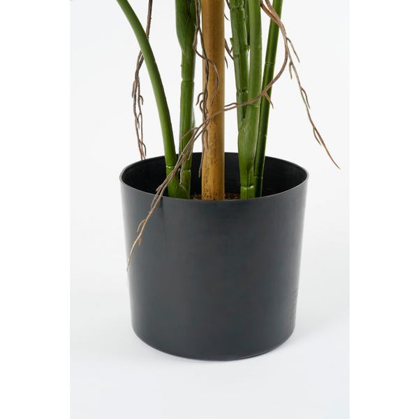 Monstera boom groen - h140xd120cm