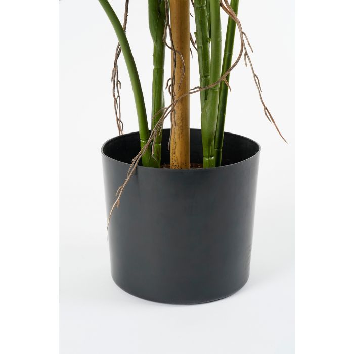 Monstera boom groen - h140xd120cm