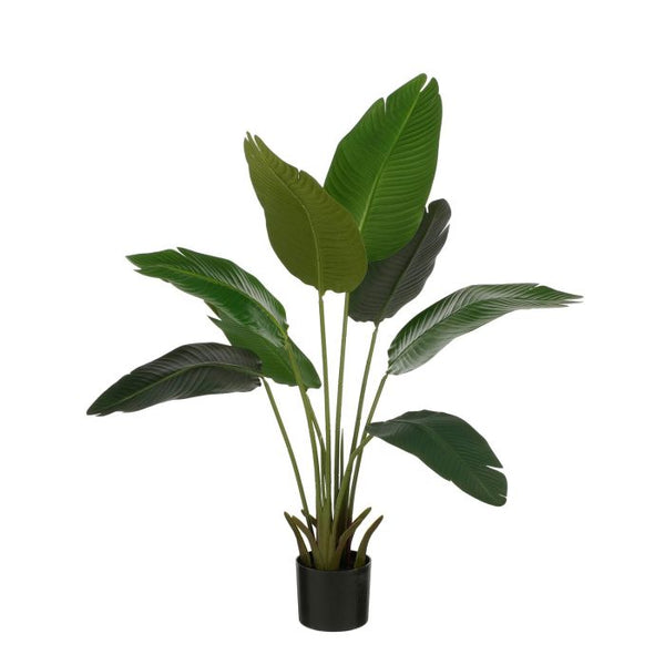 Bananen boom in pot groen - h110xd30cm