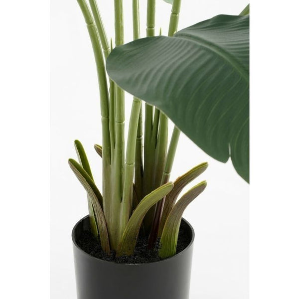 Bananen boom in pot groen - h120xd30cm