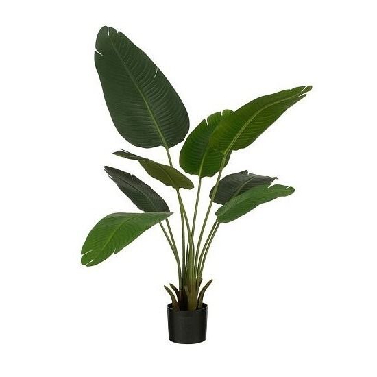 Bananen boom in pot groen - h120xd30cm
