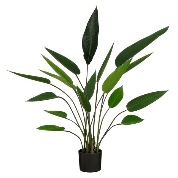 Heliconia in pot groen - h115xd80cm