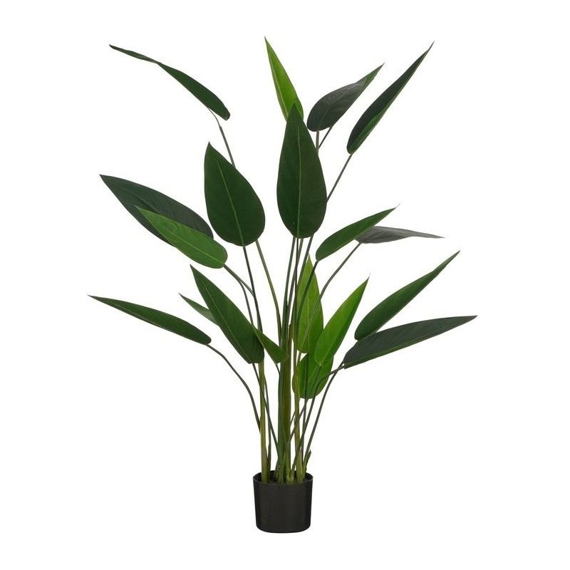Heliconia in pot groen - h150xd90cm