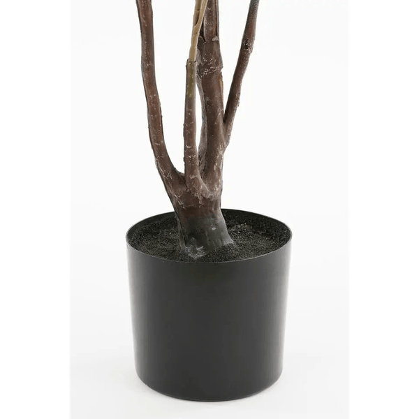 Olijvenboom in pot groen - h120xd70cm
