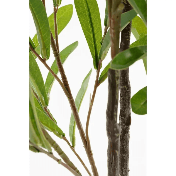 Olijvenboom in pot groen - h120xd70cm