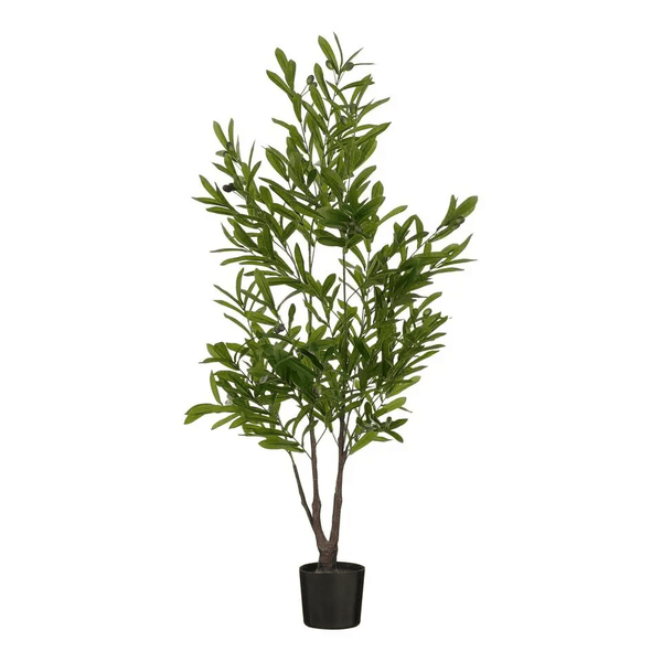 Olijvenboom in pot groen - h120xd70cm