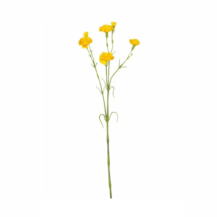 Anjer geel - l66cm