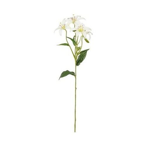 Lelie creme - l63cm