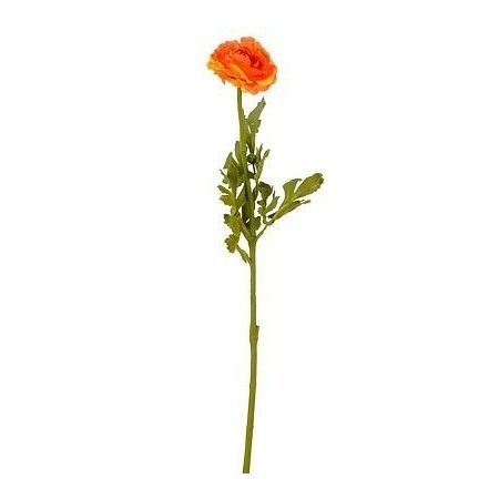 Ranunculus oranje - l56cm