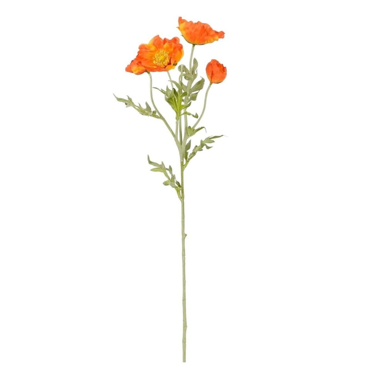 Klaproos oranje - l62cm
