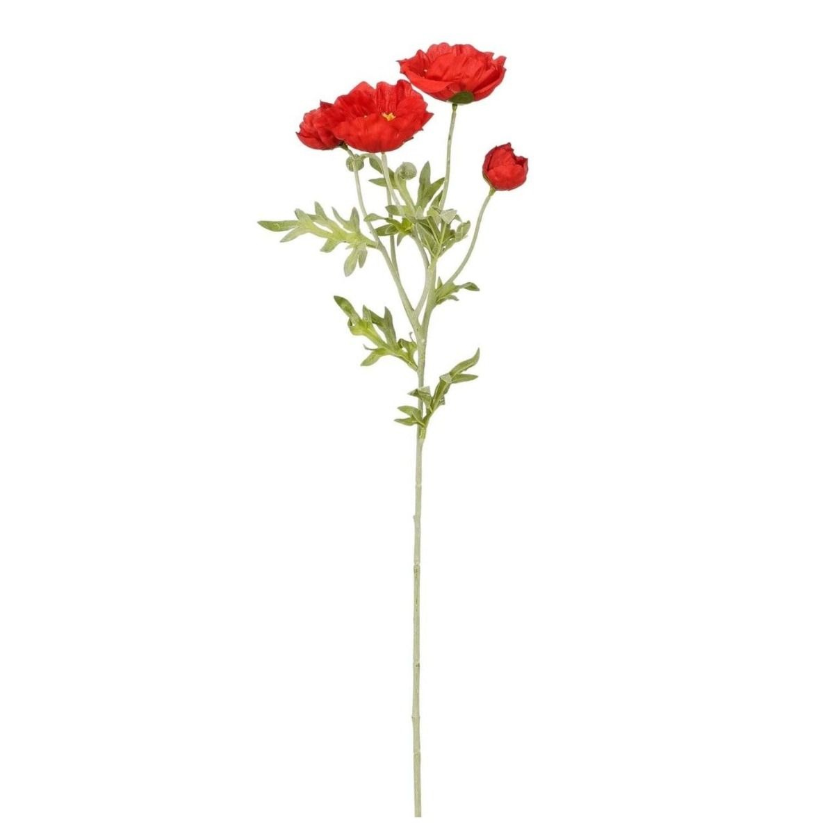 Klaproos rood - l62cm