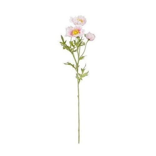 Klaproos roze - l62cm