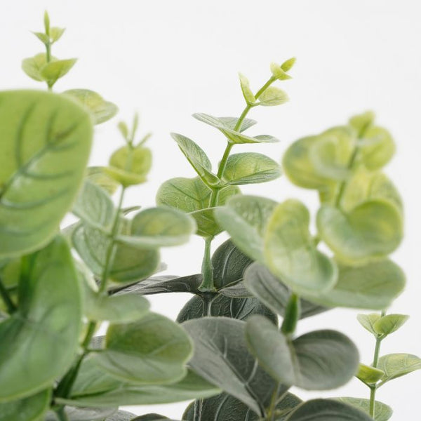 Eucalyptus in pot groen - h53xd23cm