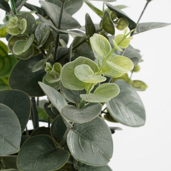 Eucalyptus in pot groen - h53xd23cm