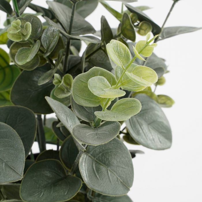 Eucalyptus in pot groen - h53xd23cm