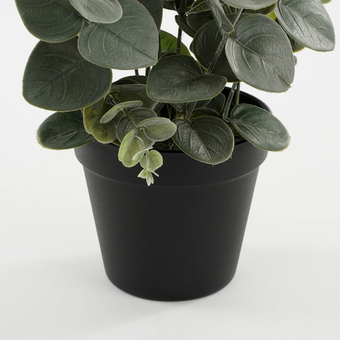 Eucalyptus in pot groen - h53xd23cm