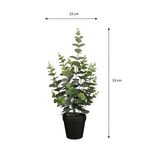 Eucalyptus in pot groen - h53xd23cm