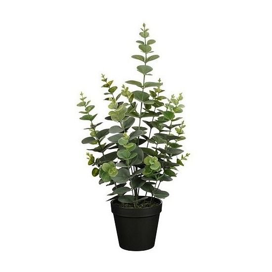 Eucalyptus in pot groen - h53xd23cm