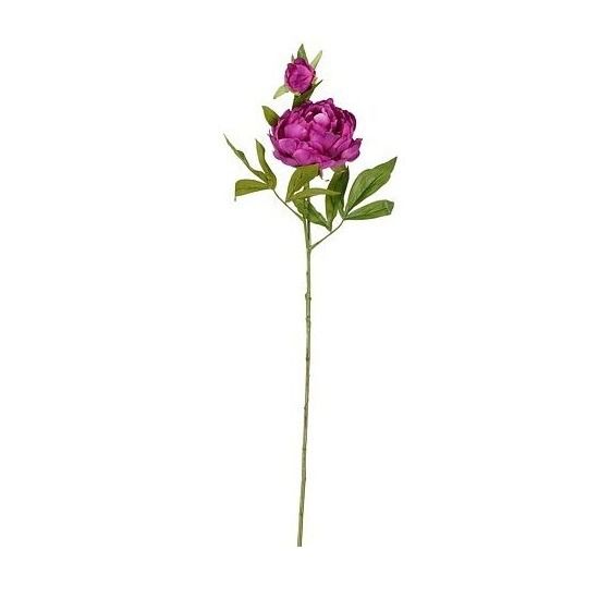 Pioen paars - l71cm