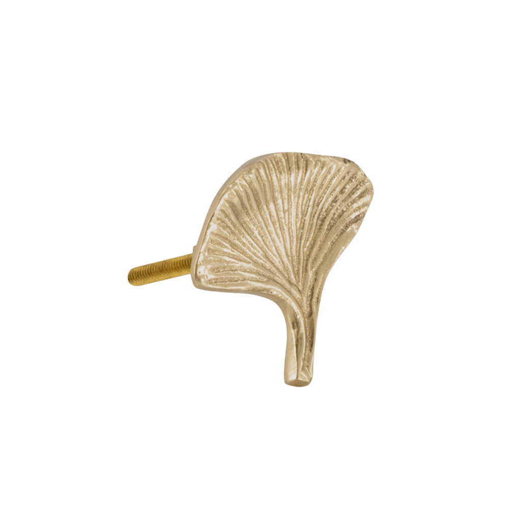 Flora Ginko Knob